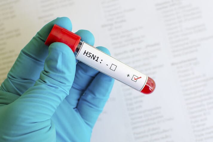 H5N1 madárinfluenza – felhívás